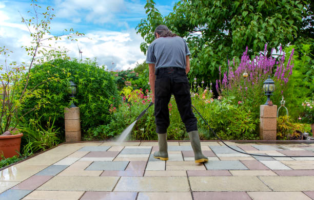 Best Animal Enclosure Cleaning  in East Pasadena, CA