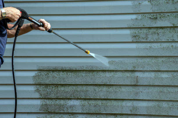 Best Sidewalk and Walkway Cleaning  in East Pasadena, CA