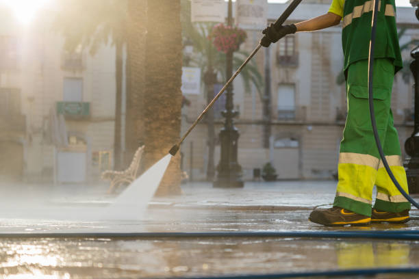 Best Dumpster Area Cleaning  in East Pasadena, CA